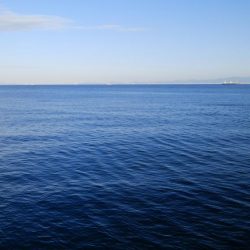 中秋の名月に待望のタチウオ