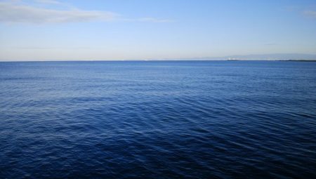 中秋の名月に待望のタチウオ