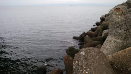 初めての釣り場でタチウオ