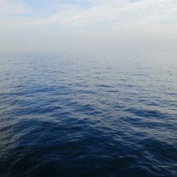 厳しい中、ツバスに救われた