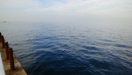 厳しい中、ツバスに救われた