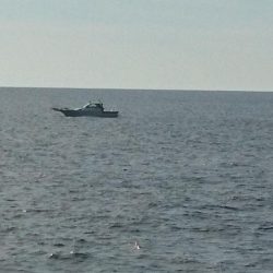 また、お前か！！