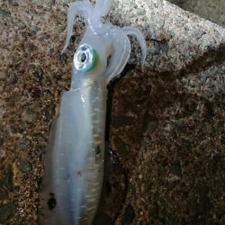 週末は雨模様。