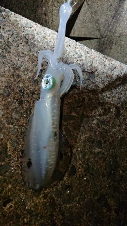 週末は雨模様。