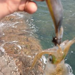 清掃活動からのエキング