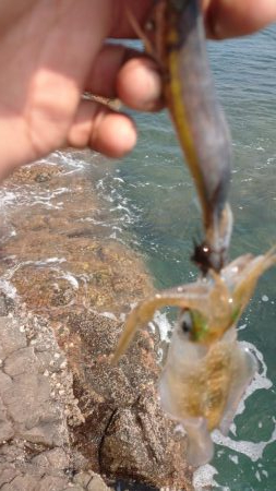 清掃活動からのエキング