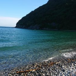 シーバス&ロックフィッシュ