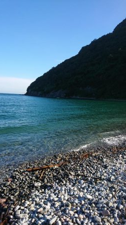 シーバス&ロックフィッシュ