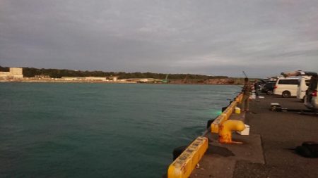 デカかますがやって来た