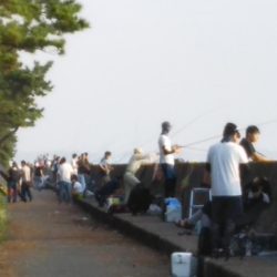 超！短い朝マヅメ