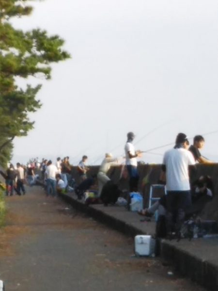 超！短い朝マヅメ