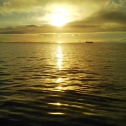 朝マヅメは超!満員