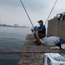 潮動き悪く良型キス不発の播磨新島