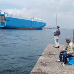 潮の動き良い播磨新島釣行