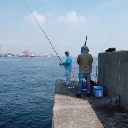 数が釣れ始めた播磨新島釣行