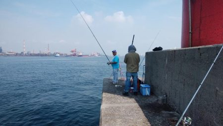 数が釣れ始めた播磨新島釣行