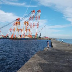暴風の播磨新島釣行