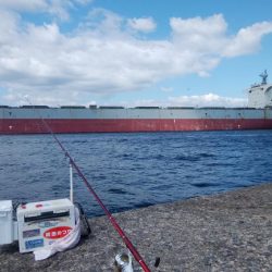 ７日連投の播磨新島釣行