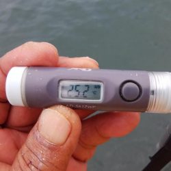 台風１７号通過後の播磨新島釣行