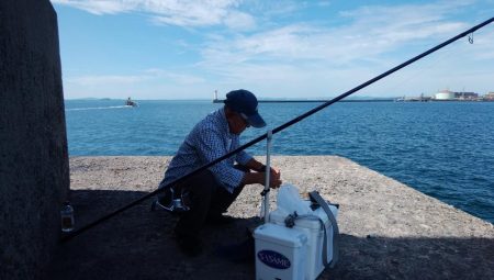 台風通過後2日目にキスが復活した播磨新島