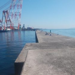 キスの活性が戻った播磨新島