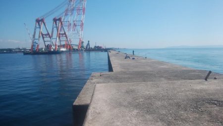 キスの活性が戻った播磨新島