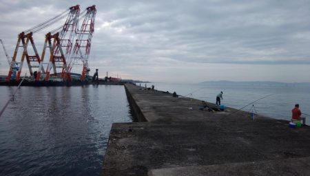 快釣続く播磨新島釣行