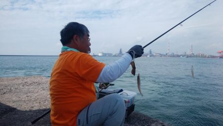 今日も、まずまずの播磨新島釣行