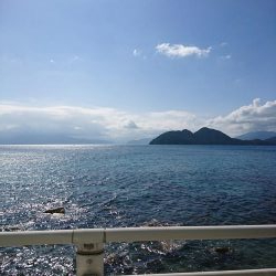 今年初のアオリイカ釣行