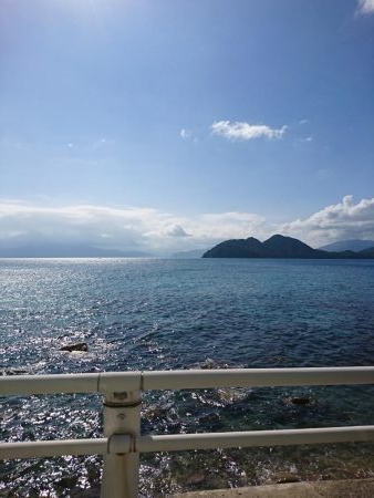 今年初のアオリイカ釣行