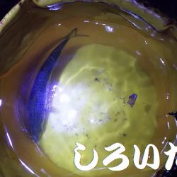 タチウオはまだ?