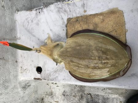 手漕ぎボートでティップラン