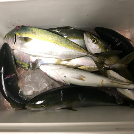 タイラバからのジギング