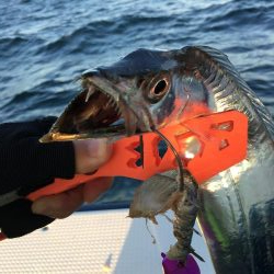 タチウオテンヤ