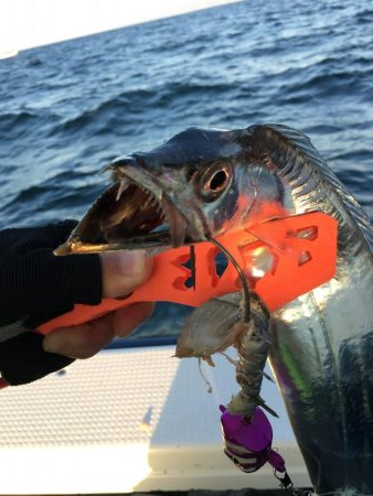 タチウオテンヤ