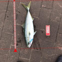 9月27日神戸ランガン