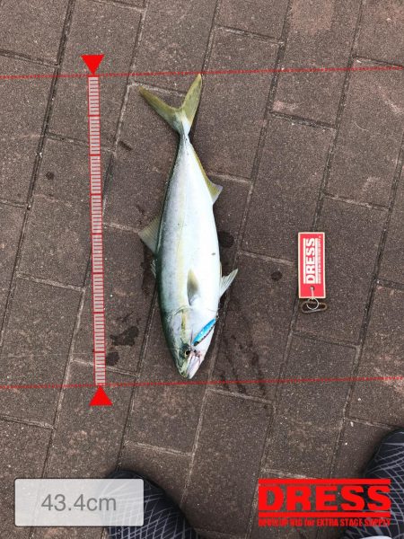 9月27日神戸ランガン