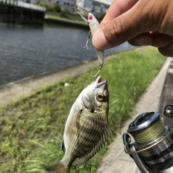 9月12日メッキゲーム