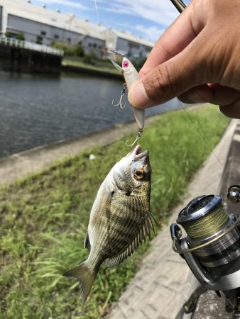 9月12日メッキゲーム