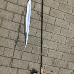 【シーサイドコスモ】好調ライトショアジギング