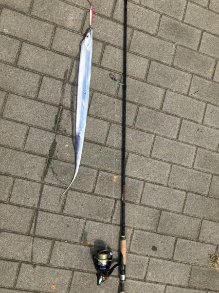 【シーサイドコスモ】好調ライトショアジギング