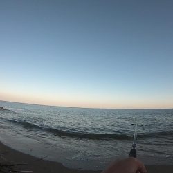 サーフフィッシング カレイ2発!!