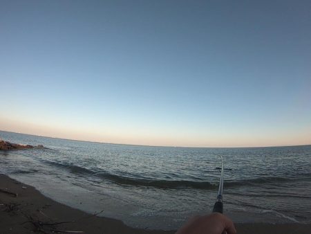 サーフフィッシング カレイ2発!!