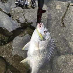 トップキターーーッ！！！