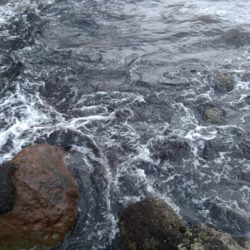 自作ルアーでキジハタ