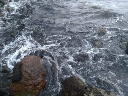 自作ルアーでキジハタ