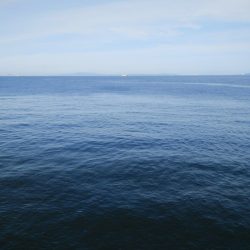 仕事前にタチウオ調査&ショアジギ