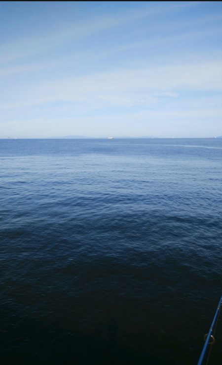 仕事前にタチウオ調査&ショアジギ