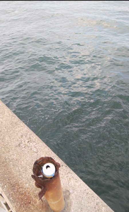 いつになったらタチウオ開幕!?