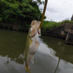 ちょっと寄り道